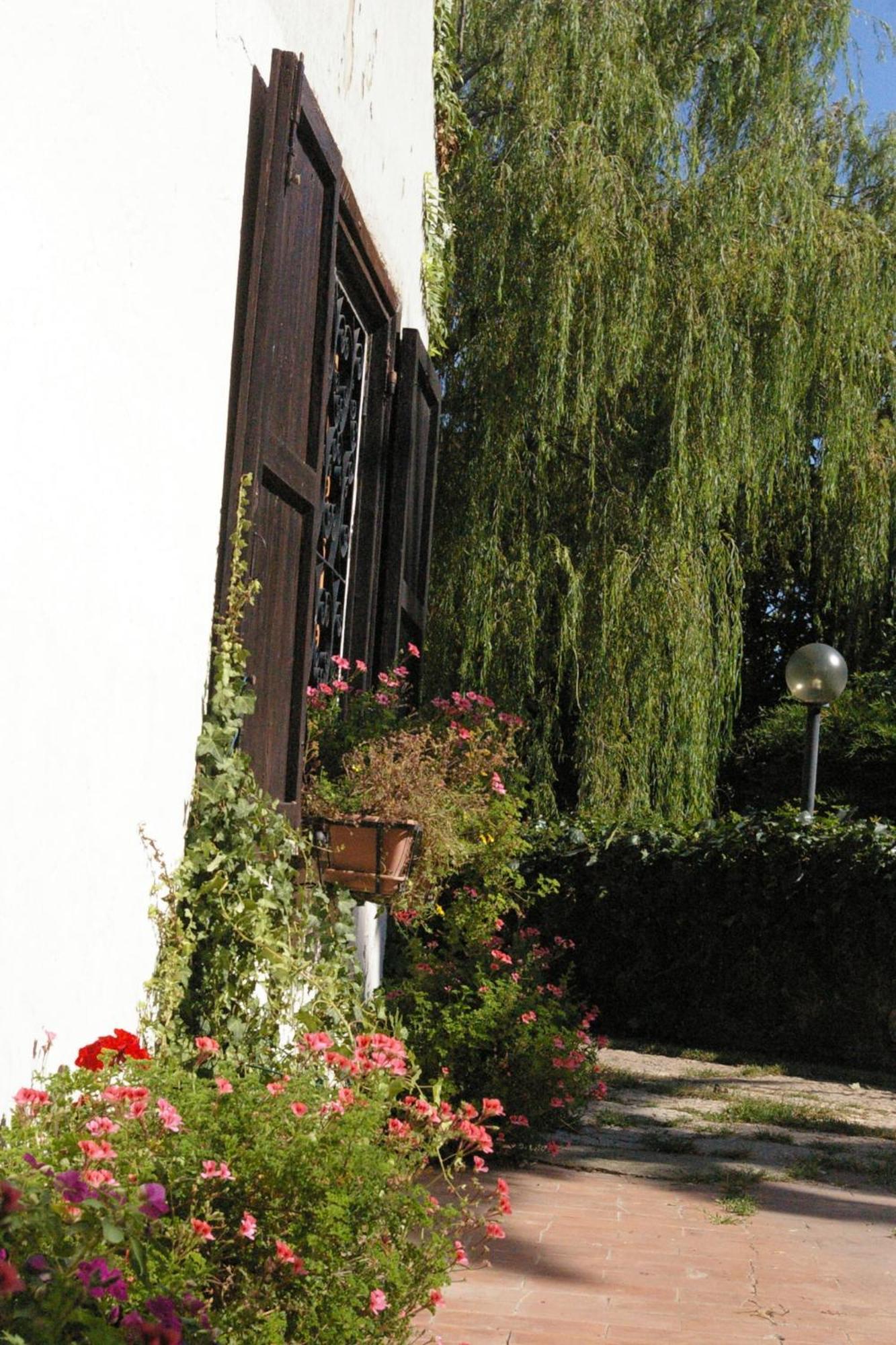 B&B Villa Sans Souci Civitavecchia Εξωτερικό φωτογραφία