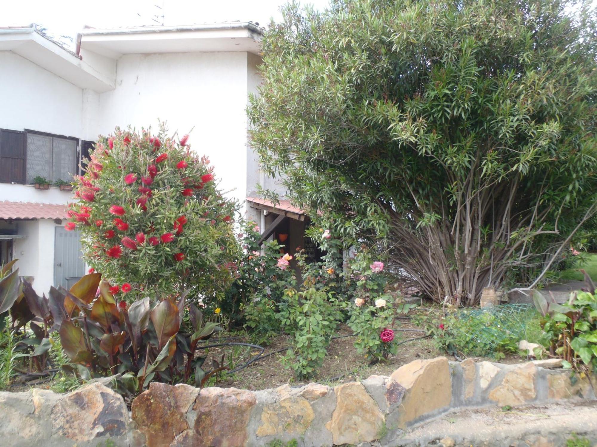 B&B Villa Sans Souci Civitavecchia Εξωτερικό φωτογραφία