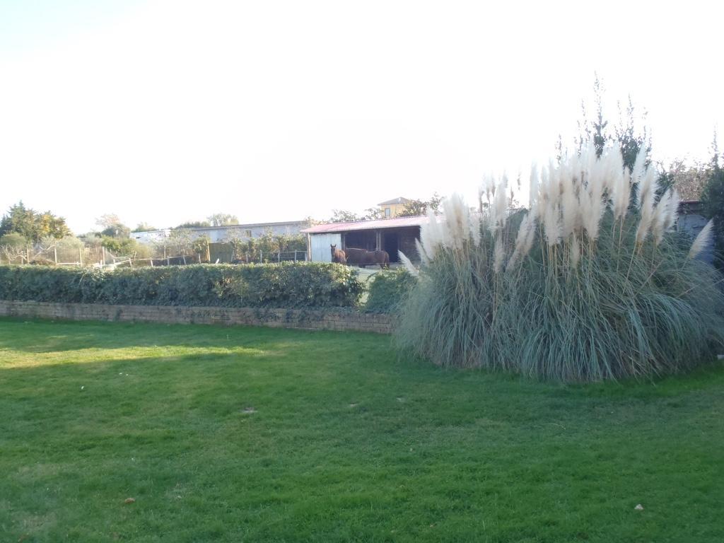 B&B Villa Sans Souci Civitavecchia Εξωτερικό φωτογραφία